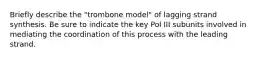 Briefly describe the "trombone model" of lagging strand synthesis. Be sure to indicate the key Pol III subunits involved in mediating the coordination of this process with the leading strand.