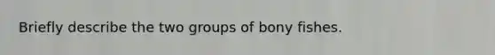 Briefly describe the two groups of bony fishes.