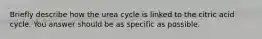 Briefly describe how the urea cycle is linked to the citric acid cycle. You answer should be as specific as possible.