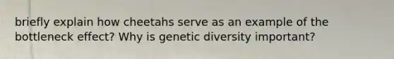 briefly explain how cheetahs serve as an example of the bottleneck effect? Why is genetic diversity important?