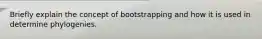 Briefly explain the concept of bootstrapping and how it is used in determine phylogenies.