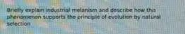 Briefly explain industrial melanism and describe how this phenomenon supports the principle of evolution by natural selection