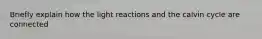 Briefly explain how the light reactions and the calvin cycle are connected