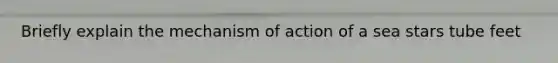 Briefly explain the mechanism of action of a sea stars tube feet