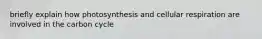 briefly explain how photosynthesis and cellular respiration are involved in the carbon cycle