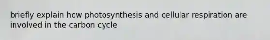 briefly explain how photosynthesis and cellular respiration are involved in the carbon cycle