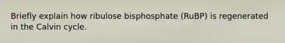 Briefly explain how ribulose bisphosphate (RuBP) is regenerated in the Calvin cycle.