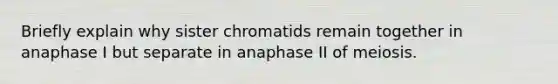 Briefly explain why sister chromatids remain together in anaphase I but separate in anaphase II of meiosis.