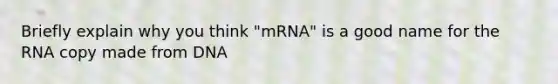 Briefly explain why you think "mRNA" is a good name for the RNA copy made from DNA