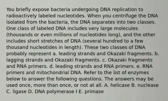 You briefly expose bacteria undergoing <a href='https://www.questionai.com/knowledge/kofV2VQU2J-dna-replication' class='anchor-knowledge'>dna replication</a> to radioactively labeled nucleotides. When you centrifuge the DNA isolated from the bacteria, the DNA separates into two classes. One class of labeled DNA includes very large molecules (thousands or even millions of nucleotides long), and the other includes short stretches of DNA (several hundred to a few thousand nucleotides in length). These two classes of DNA probably represent a. leading strands and Okazaki fragments. b. lagging strands and Okazaki fragments. c. Okazaki fragments and RNA primers. d. leading strands and RNA primers. e. RNA primers and mitochondrial DNA. Refer to the list of enzymes below to answer the following questions. The answers may be used once, <a href='https://www.questionai.com/knowledge/keWHlEPx42-more-than' class='anchor-knowledge'>more than</a> once, or not at all. A. helicase B. nuclease C. ligase D. DNA polymerase I E. primase