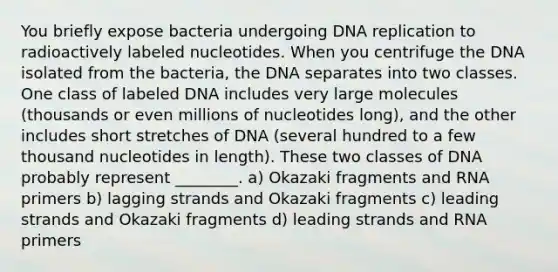 You briefly expose bacteria undergoing <a href='https://www.questionai.com/knowledge/kofV2VQU2J-dna-replication' class='anchor-knowledge'>dna replication</a> to radioactively labeled nucleotides. When you centrifuge the DNA isolated from the bacteria, the DNA separates into two classes. One class of labeled DNA includes very large molecules (thousands or even millions of nucleotides long), and the other includes short stretches of DNA (several hundred to a few thousand nucleotides in length). These two classes of DNA probably represent ________. a) Okazaki fragments and RNA primers b) lagging strands and Okazaki fragments c) leading strands and Okazaki fragments d) leading strands and RNA primers