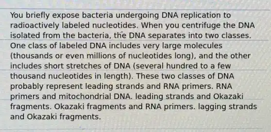 You briefly expose bacteria undergoing <a href='https://www.questionai.com/knowledge/kofV2VQU2J-dna-replication' class='anchor-knowledge'>dna replication</a> to radioactively labeled nucleotides. When you centrifuge the DNA isolated from the bacteria, the DNA separates into two classes. One class of labeled DNA includes very large molecules (thousands or even millions of nucleotides long), and the other includes short stretches of DNA (several hundred to a few thousand nucleotides in length). These two classes of DNA probably represent leading strands and RNA primers. RNA primers and mitochondrial DNA. leading strands and Okazaki fragments. Okazaki fragments and RNA primers. lagging strands and Okazaki fragments.