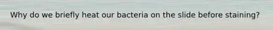 Why do we briefly heat our bacteria on the slide before staining?