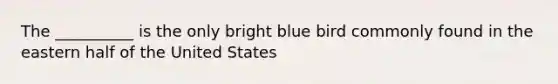 The __________ is the only bright blue bird commonly found in the eastern half of the United States