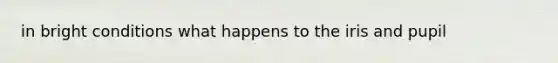 in bright conditions what happens to the iris and pupil