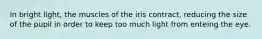 In bright light, the muscles of the iris contract, reducing the size of the pupil in order to keep too much light from enteing the eye.