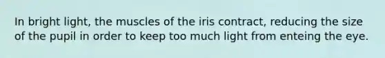 In bright light, the muscles of the iris contract, reducing the size of the pupil in order to keep too much light from enteing the eye.