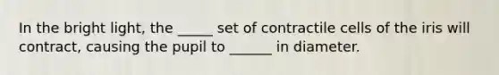 In the bright light, the _____ set of contractile cells of the iris will contract, causing the pupil to ______ in diameter.