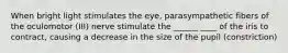 When bright light stimulates the eye, parasympathetic fibers of the oculomotor (III) nerve stimulate the ______ ____ of the iris to contract, causing a decrease in the size of the pupil (constriction)