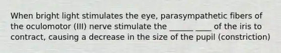 When bright light stimulates the eye, parasympathetic fibers of the oculomotor (III) nerve stimulate the ______ ____ of the iris to contract, causing a decrease in the size of the pupil (constriction)