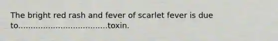 The bright red rash and fever of scarlet fever is due to....................................toxin.