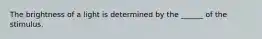 The brightness of a light is determined by the ______ of the stimulus.