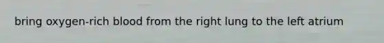 bring oxygen-rich blood from the right lung to the left atrium