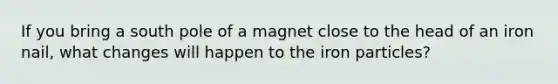 If you bring a south pole of a magnet close to the head of an iron nail, what changes will happen to the iron particles?