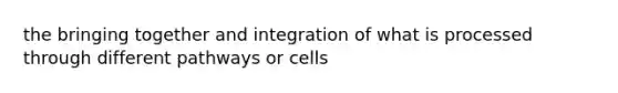 the bringing together and integration of what is processed through different pathways or cells