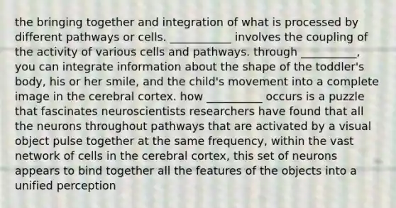 the bringing together and integration of what is processed by different pathways or cells. ___________ involves the coupling of the activity of various cells and pathways. through __________, you can integrate information about the shape of the toddler's body, his or her smile, and the child's movement into a complete image in the cerebral cortex. how __________ occurs is a puzzle that fascinates neuroscientists researchers have found that all the neurons throughout pathways that are activated by a visual object pulse together at the same frequency, within the vast network of cells in the cerebral cortex, this set of neurons appears to bind together all the features of the objects into a unified perception