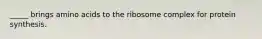 _____ brings amino acids to the ribosome complex for protein synthesis.