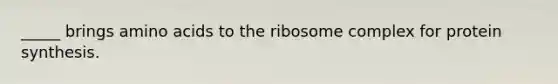 _____ brings amino acids to the ribosome complex for protein synthesis.