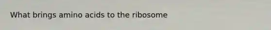 What brings amino acids to the ribosome