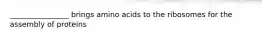 ________________ brings amino acids to the ribosomes for the assembly of proteins