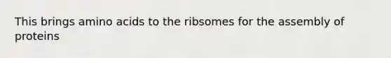 This brings amino acids to the ribsomes for the assembly of proteins