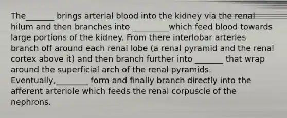 The_______ brings arterial blood into the kidney via the renal hilum and then branches into _________which feed blood towards large portions of the kidney. From there interlobar arteries branch off around each renal lobe (a renal pyramid and the renal cortex above it) and then branch further into _______ that wrap around the superficial arch of the renal pyramids. Eventually,________ form and finally branch directly into the afferent arteriole which feeds the renal corpuscle of the nephrons.