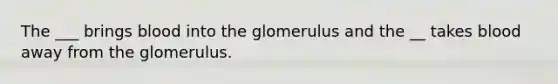 The ___ brings blood into the glomerulus and the __ takes blood away from the glomerulus.