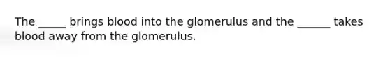 The _____ brings blood into the glomerulus and the ______ takes blood away from the glomerulus.