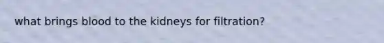 what brings blood to the kidneys for filtration?