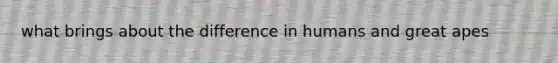 what brings about the difference in humans and great apes
