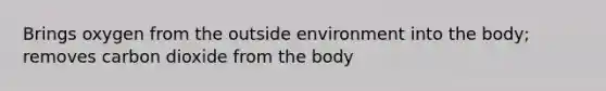 Brings oxygen from the outside environment into the body; removes carbon dioxide from the body