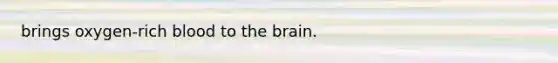 brings oxygen-rich blood to <a href='https://www.questionai.com/knowledge/kLMtJeqKp6-the-brain' class='anchor-knowledge'>the brain</a>.