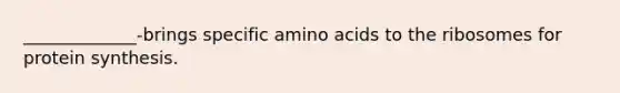 _____________-brings specific amino acids to the ribosomes for protein synthesis.