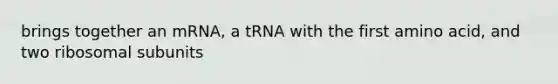 brings together an mRNA, a tRNA with the first amino acid, and two ribosomal subunits