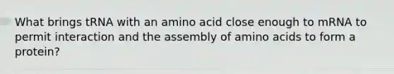 What brings tRNA with an amino acid close enough to mRNA to permit interaction and the assembly of amino acids to form a protein?