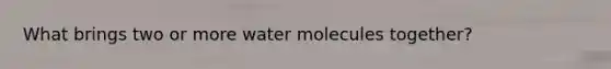 What brings two or more water molecules together?