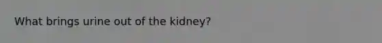 What brings urine out of the kidney?