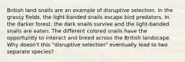 British land snails are an example of disruptive selection. In the grassy fields, the light-banded snails escape bird predators. In the darker forest, the dark snails survive and the light-banded snails are eaten. The different colored snails have the opportunity to interact and breed across the British landscape. Why doesn't this "disruptive selection" eventually lead to two separate species?