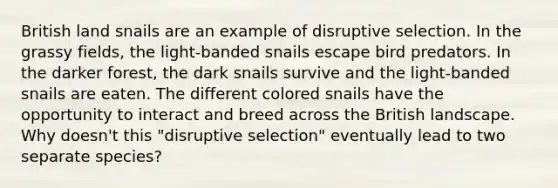 British land snails are an example of disruptive selection. In the grassy fields, the light-banded snails escape bird predators. In the darker forest, the dark snails survive and the light-banded snails are eaten. The different colored snails have the opportunity to interact and breed across the British landscape. Why doesn't this "disruptive selection" eventually lead to two separate species?