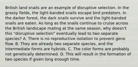 British land snails are an example of disruptive selection. In the grassy fields, the light-banded snails escape bird predators. In the darker forest, the dark snails survive and the light-banded snails are eaten. As long as the snails continue to cruise across the British landscape mating at the same season, why doesn't this "disruptive selection" eventually lead to two separate species? A. There is no reproductive isolation to prevent gene flow. B. They are already two separate species, and the intermediate forms are hybrids. C. The color forms are probably not genetically determined. D. This will result in the formation of two species if given long enough time.